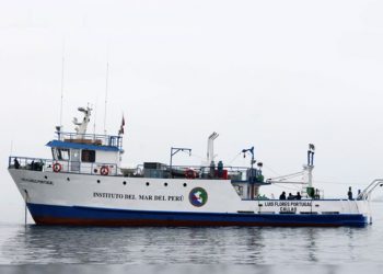 Tumbes: Imarpe evaluará por 50 días recurso anchoveta