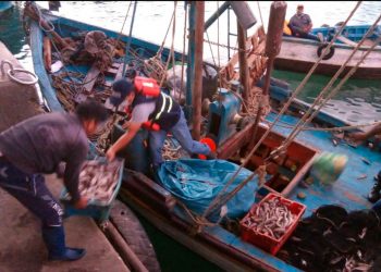 Piura: intervienen embarcación que realizaba pesca ilegal en mar de Talara