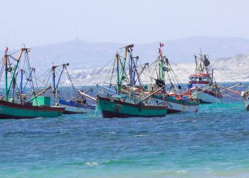 Dorsal de Nasca: solicitan al presidente Sagasti no permitir pesca de bacalao en nueva zona de conservación marina