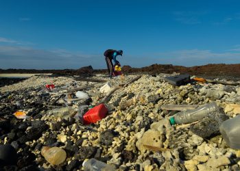 Ecuador: extraen de los fondos marinos de Galápagos 2,239 kilos de basuras