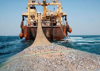 Pesca ilegal en áreas protegidas: el caso de Punta Coles en Moquegua