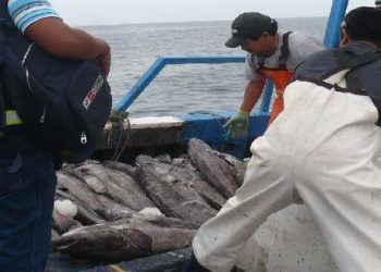 Advierten que creación de la Reserva Nacional Dorsal de Nasca corre riesgos por la pesca de bacalao