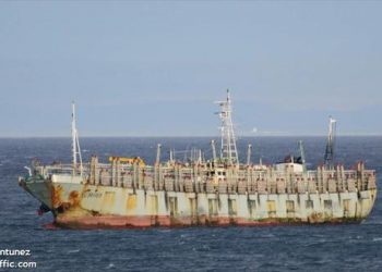 Unos 350 barcos chinos pescan otra vez frente a Argentina