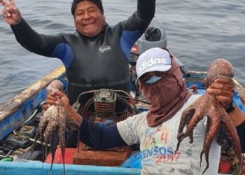 Punta Coles es modelo de desarrollo sostenible con plan de manejo del recurso pulpo