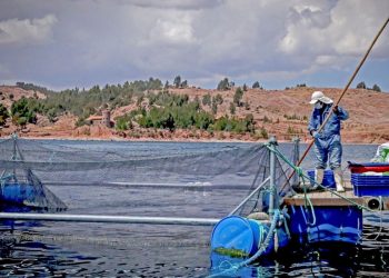 Acuicultura: una víctima de la miopía