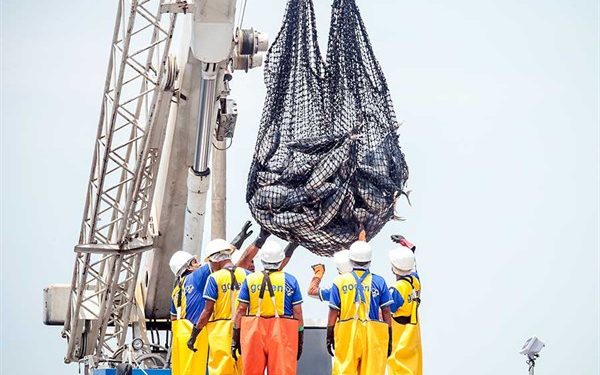 Ministerio de la Producción actualiza protocolos en labores de pesca industrial