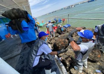 Piura: harán estudio en la bahía de Sechura para validar producción de conchas de abanico