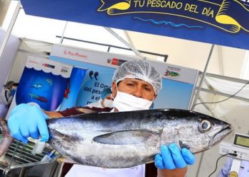 ADEX: hay oportunidades de exportación para pesca no tradicional en Europa y Asia