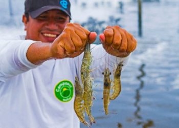 Produce autorizó subvenciones por S/ 3.5 millones para proyectos en pesca y acuicultura