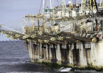 Estados Unidos prohíbe importaciones de flota pesquera china por acusaciones de trabajo forzoso