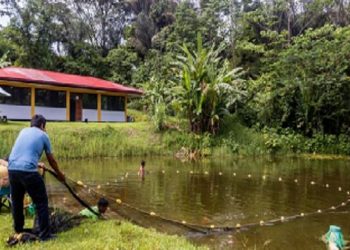 Minam y Produce fortalecen compromiso con el sector pesquero y acuícola amazónico