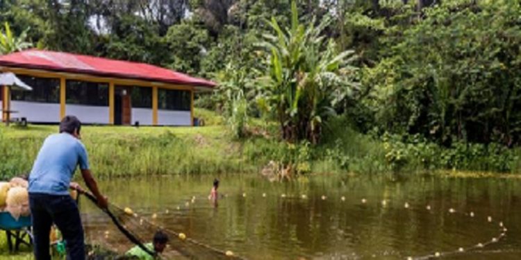 Minam y Produce fortalecen compromiso con el sector pesquero y acuícola amazónico