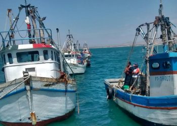 Piura: más de 150 especialistas pesqueros fueron capacitados en normas internacionales
