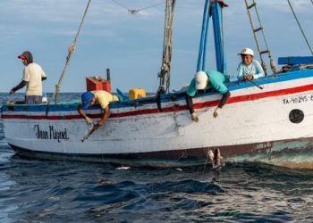 Organización internacional de conservación marina plantea una pesca sostenible