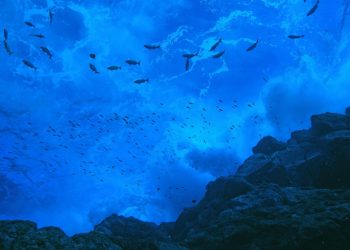 Minam destaca potencial de áreas marinas protegidas para impulsar el desarrollo de la población