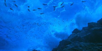 Minam destaca potencial de áreas marinas protegidas para impulsar el desarrollo de la población