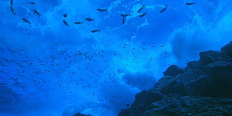 Minam destaca potencial de áreas marinas protegidas para impulsar el desarrollo de la población