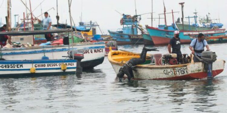 Ministerio del Ambiente: pescadores artesanales aseguran la alimentación de la población peruana