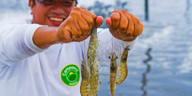 ADEX: se busca más competitividad en cadenas de valor en acuicultura y pesca