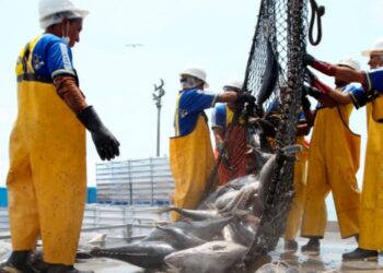 Ministerio de la Producción incluye infracciones ambientales para actividades pesqueras y acuícolas