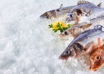 La importancia del hielo