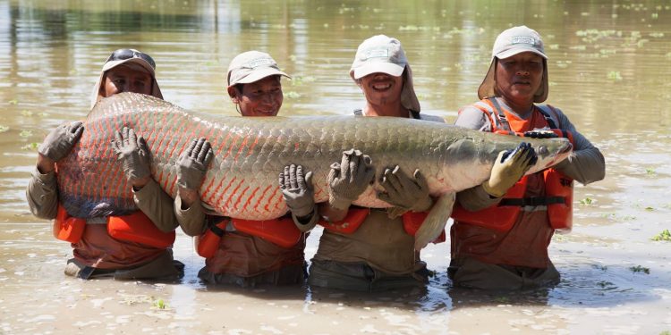 Alfonso Miranda: acuicultura y oportunidades perdidas