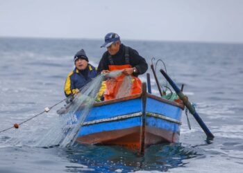 Estado comprará productos hidrobiológicos a pescadores artesanales y pequeños productores acuícolas
