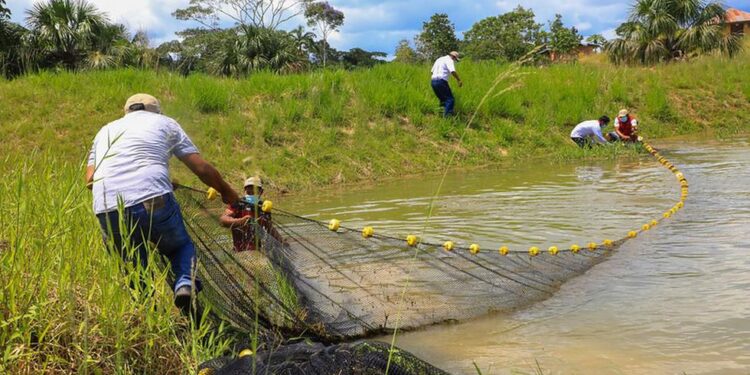 Especialistas opinan sobre la modificación del reglamento de la Ley General de Acuicultura