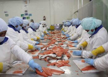 Produce establece lineamientos para formulación de Planes Regionales de Acuicultura