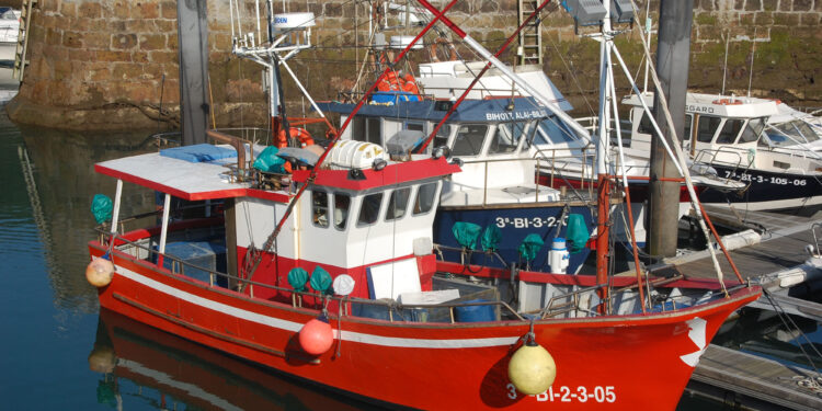 CABFishMAN: navegando hacia el crecimiento azul de las flotas de pequeña escala