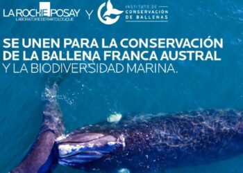 La Roche-Posay lanza una iniciativa para proteger a la ballena franca austral en el mar argentino