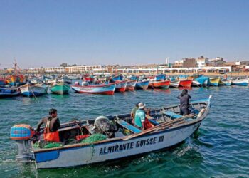 Comisión de Presupuesto aprobó por unanimidad proyecto de compras estatales a pescadores artesanales