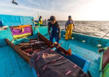 Perú ya cuenta con dos embarcaciones artesanales autorizadas para pescar pota más allá del Mar de Grau