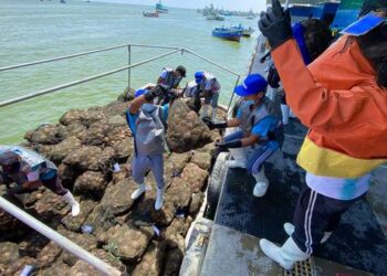 La pota, anchoveta, pulpo, calamar y conchas de abanico ingresarán a Singapur, según Sanipes