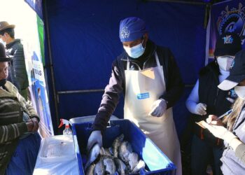 Puno: 380 productores de trucha será capacitados en el manejo de tecnologías