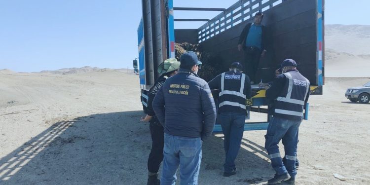 Ica: FEMA llevó a cabo operativo contra pesca ilegal en San Juan de Marcona