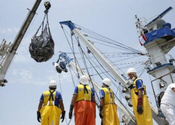 CIAT plantea mantener medidas de conservación en la pesca de atún hasta el 2024