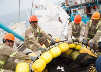 Sector pesquero: sostenible y sustentable