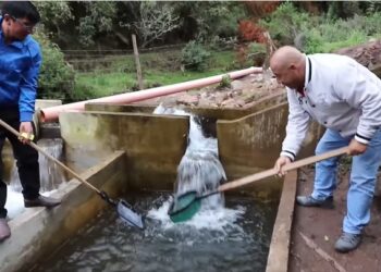 Cajamarca: productores de San Pablo triplican producción anual de trucha