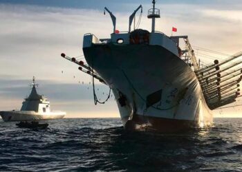 Produce: Embarcaciones extranjeras pagaron más de US$ 4.5 millones por derechos de pesca