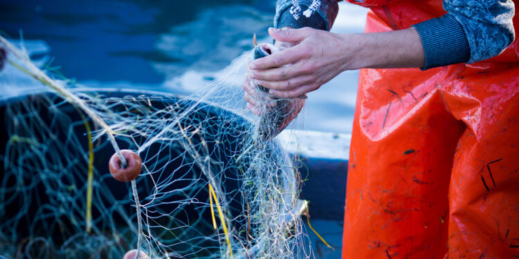 Pesca sostenible para el futuro