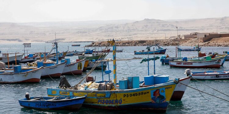 Produce: hasta la fecha se ha formalizado a casi 2 500 embarcaciones pesqueras artesanales