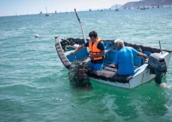 Produce destinará S/ 345.2 millones para inversiones en pesca, acuicultura y MYPES en 2022