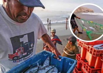 Piura: Gobierno regional inicia formalización de pescadores no embarcados en Paita y Talara