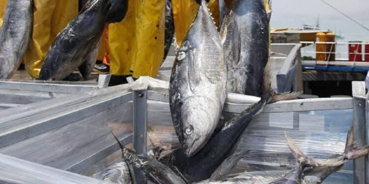 Ministerio de la Producción: pesca de atún genera empleo y mayor ingreso de divisas