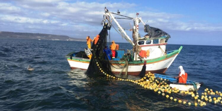 Sociedad Nacional de Industrias ofrece apoyo para formalizar la pesca artesanal