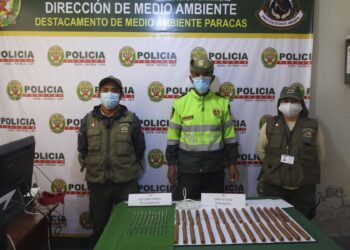 Duro golpe a la pesca ilegal: decomisan dinamita en la Reserva Nacional de Paracas