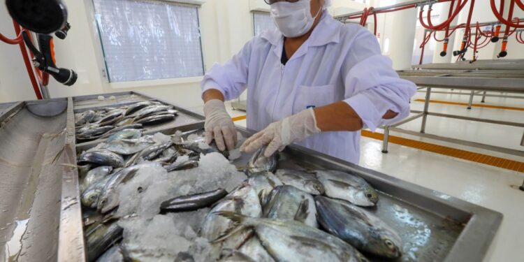 Produce autorizó la transferencia de S/ 1.7 millones para fortalecer red de sanidad pesquera y acuícola