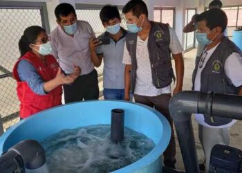 Pichari: Acuicultura se verá beneficiada con el soporte técnico del ITP red CITE