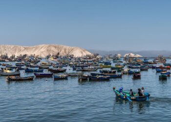 Pesca, la gran omisión